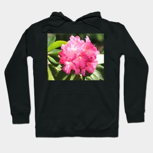 Pretty Rhododendron Hoodie